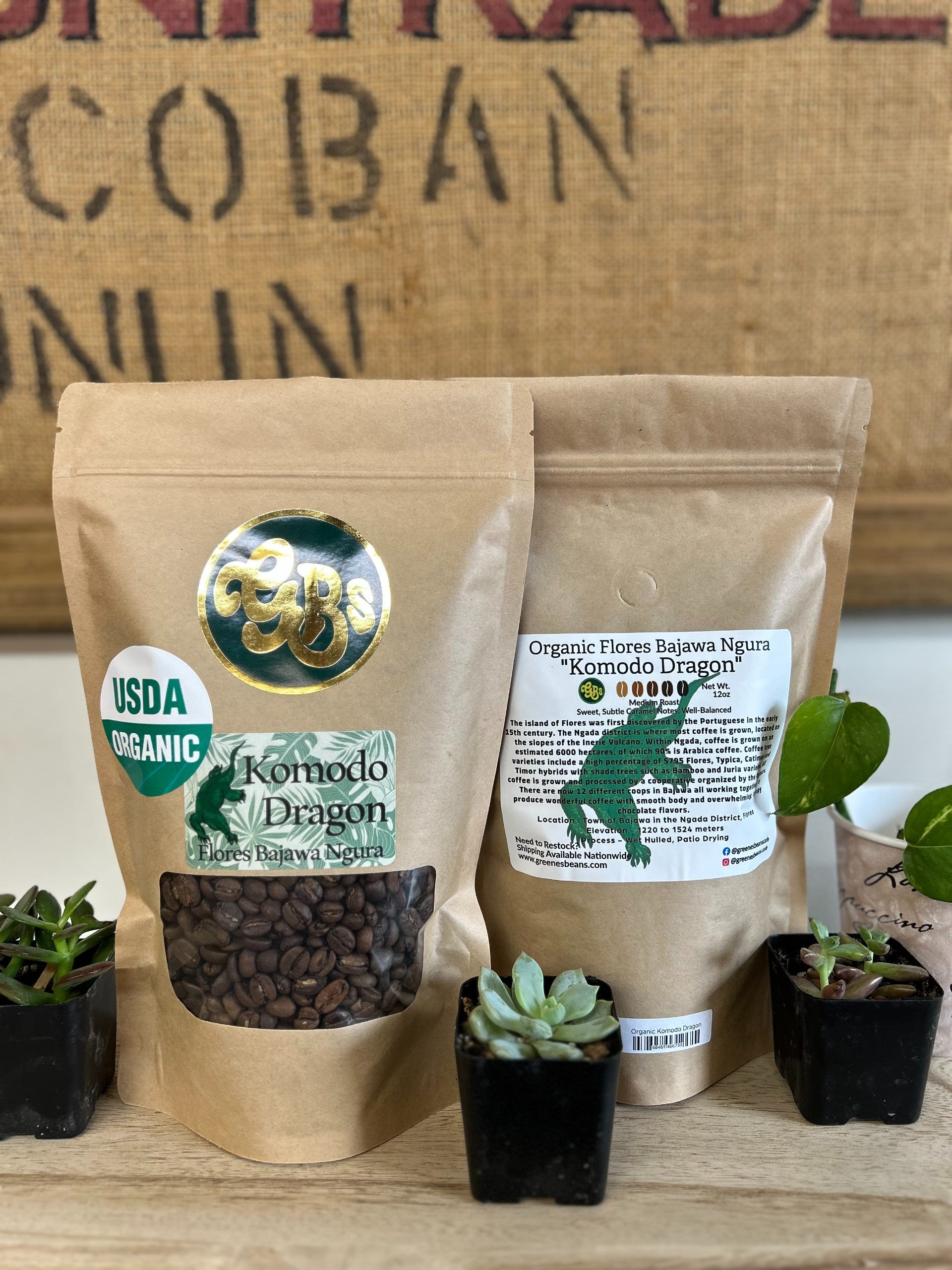 Guest Coffee | Greene's Beans Cafe
